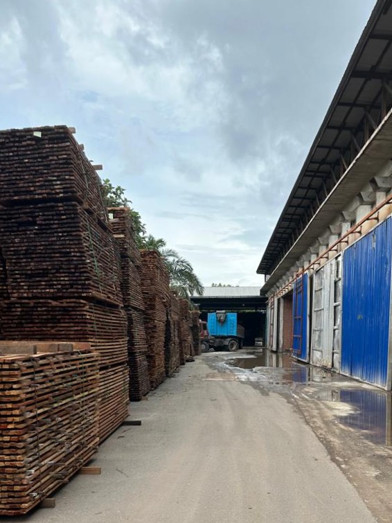 Tong Lin Wood Consultation